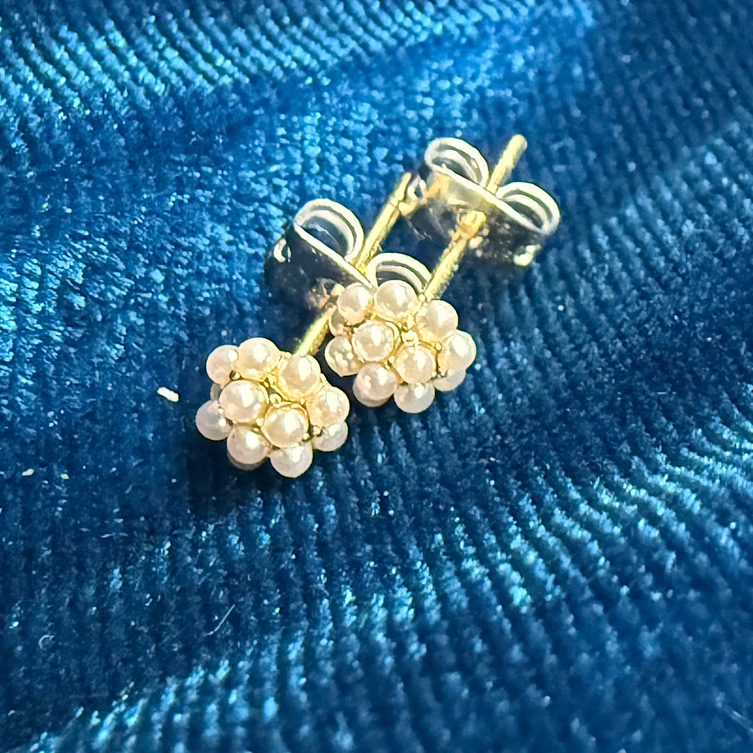 Winter Bloom Clusters