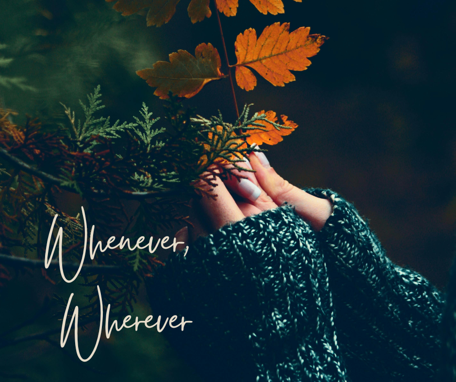 ✨ Whenever, Wherever ✨