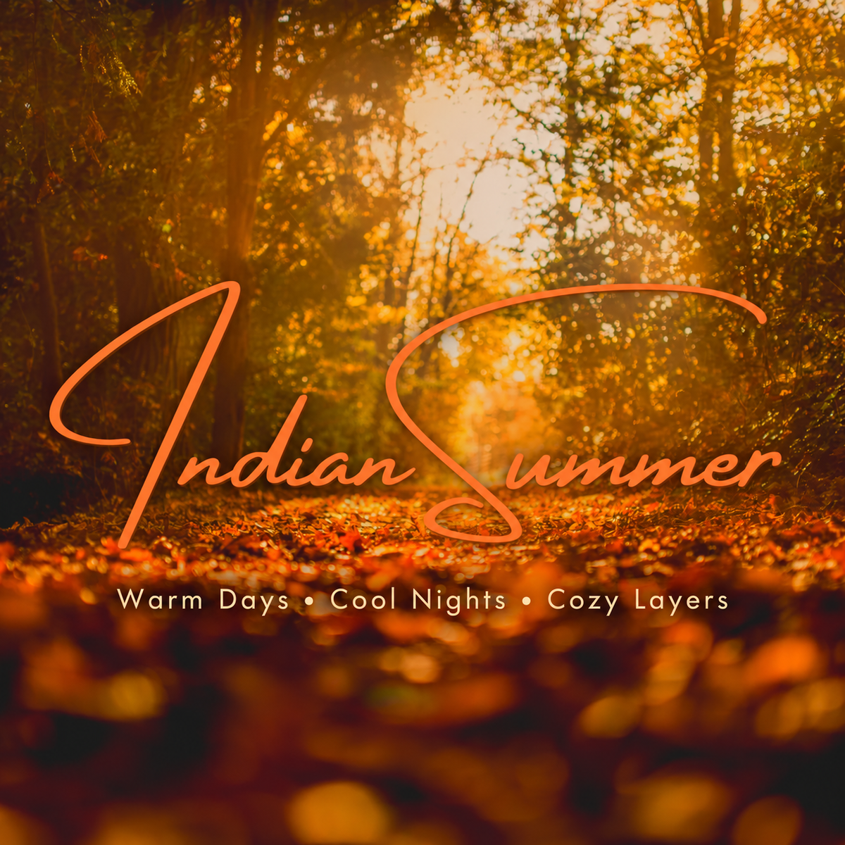 Indian Summer 🍂☀️