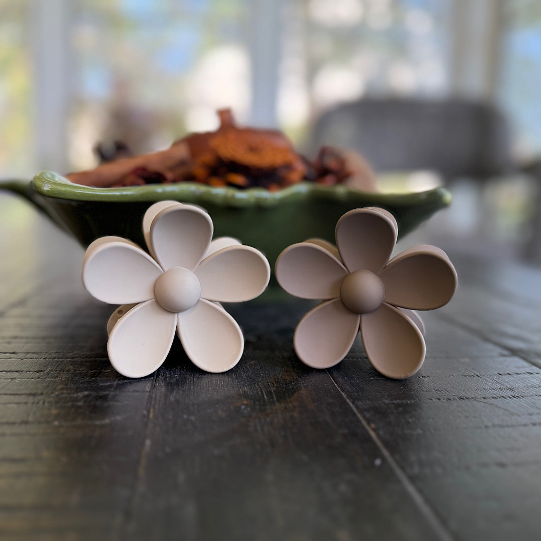 Neutral Variety Claw Clips